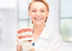 牙周組織結構及其作用